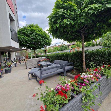 Albert Hotel Roşu エクステリア 写真