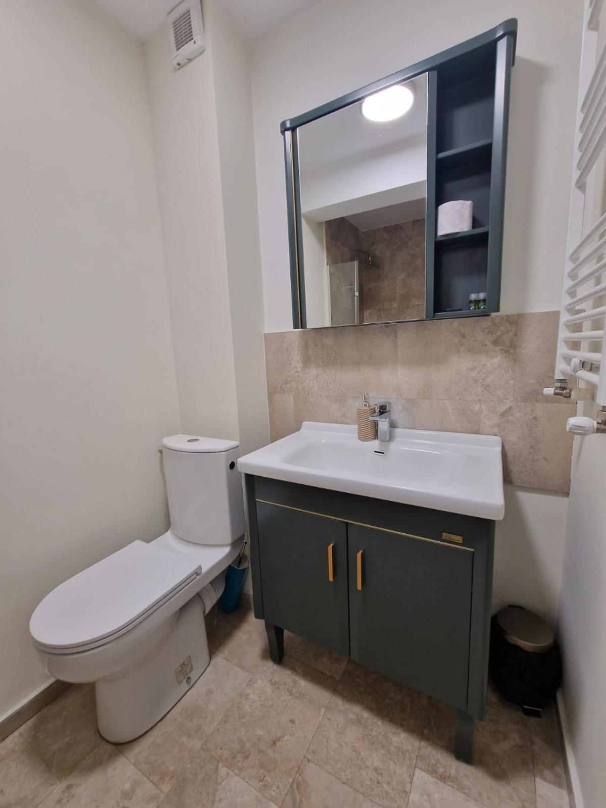 Albert Hotel Roşu エクステリア 写真