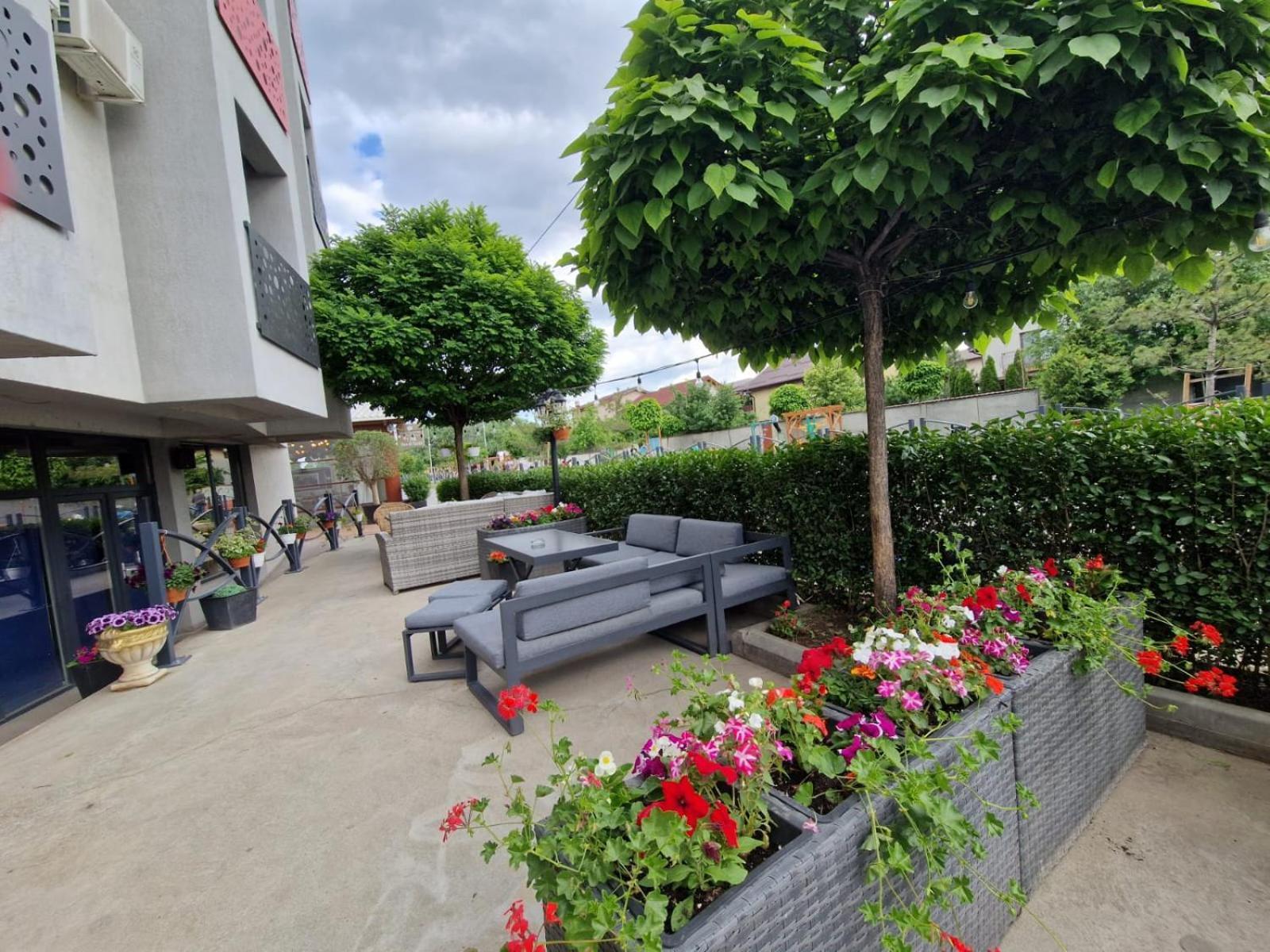 Albert Hotel Roşu エクステリア 写真